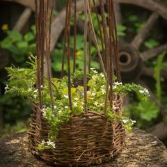 Дом отдыха Лосиный Тупичок, Валдай, Новгородская область