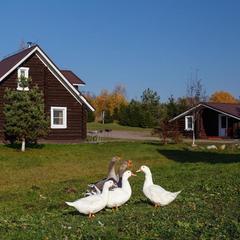 База отдыха Ерёмина Гора, Валдай, Новгородская область