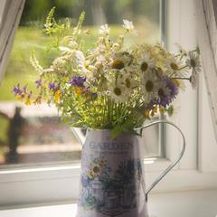 Дом отдыха Лосиный Тупичок, Валдай, Новгородская область