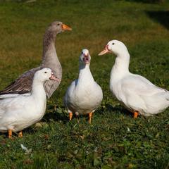 База отдыха Ерёмина Гора, Валдай, Новгородская область
