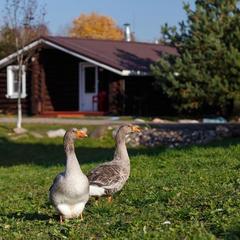 База отдыха Ерёмина Гора, Валдай, Новгородская область