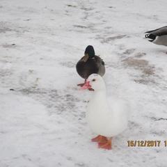 База отдыха Валдайская, Валдайский район, Новгородская область