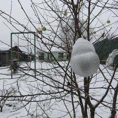 Гостевой дом Кот и Кошка, Валдай, Новгородская область