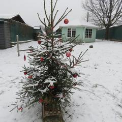 Гостевой дом Кот и Кошка, Валдай, Новгородская область