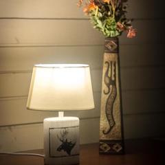 Дом отдыха Лосиный Тупичок, Валдай, Новгородская область