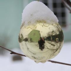 Гостевой дом Кот и Кошка, Валдай, Новгородская область