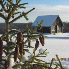 База отдыха Валдайская, Валдайский район, Новгородская область