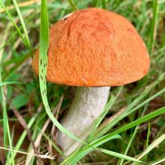 База отдыха Валдайская, Валдайский район, Новгородская область