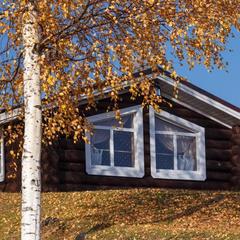 База отдыха Ерёмина Гора, Валдай, Новгородская область