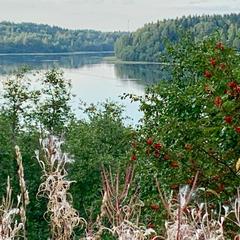 База отдыха Валдайская, Валдайский район, Новгородская область