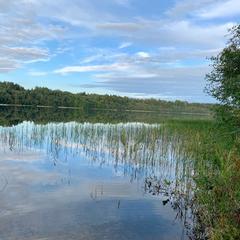 База отдыха Валдайская, Валдайский район, Новгородская область
