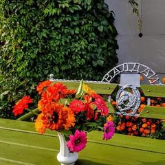 Дом отдыха Лосиный Тупичок, Валдай, Новгородская область