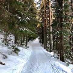 База отдыха Валдайская, Валдайский район, Новгородская область
