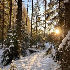 База отдыха Валдайская, Валдайский район, Новгородская область