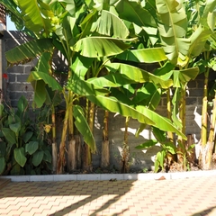 Гостевой дом Sun Villa, Вардане, Краснодарский край