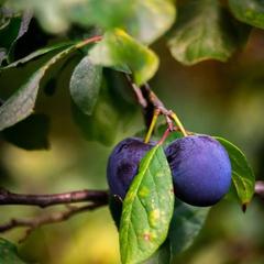 Дом отдыха Лосиный Тупичок, Валдай, Новгородская область