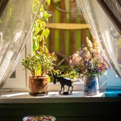 Дом отдыха Лосиный Тупичок, Валдай, Новгородская область