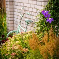 Дом отдыха Лосиный Тупичок, Валдай, Новгородская область