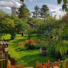 Дом отдыха Лосиный Тупичок, Валдай, Новгородская область