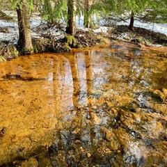 База отдыха Валдайская, Валдайский район, Новгородская область