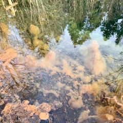 База отдыха Валдайская, Валдайский район, Новгородская область