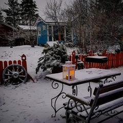 Дом отдыха Лосиный Тупичок, Валдай, Новгородская область