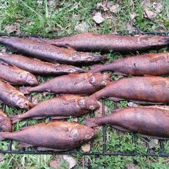 База отдыха Валдайская, Валдайский район, Новгородская область