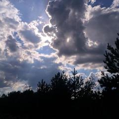 База отдыха Валдайская, Валдайский район, Новгородская область