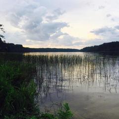 База отдыха Валдайская, Валдайский район, Новгородская область