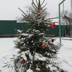 Гостевой дом Кот и Кошка, Валдай, Новгородская область