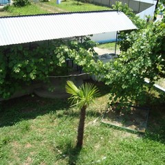 База отдыха Левша, Вардане, Краснодарский край