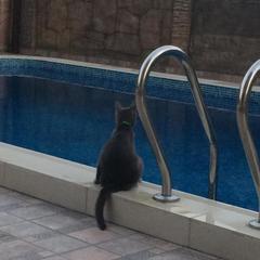 Гостевой дом Татьяна, Вардане, Краснодарский край