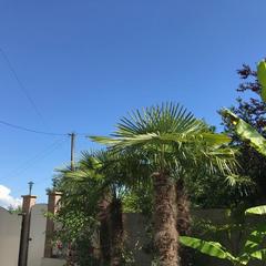 Гостевой дом Дрим, Вардане, Краснодарский край