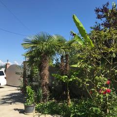 Гостевой дом Дрим, Вардане, Краснодарский край