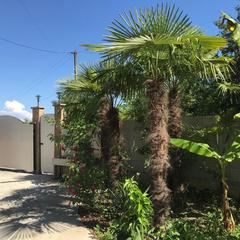 Гостевой дом Дрим, Вардане, Краснодарский край