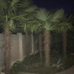 Гостевой дом Дрим, Вардане, Краснодарский край