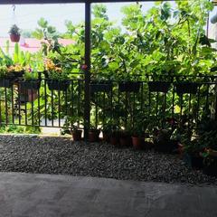 Гостевой дом Эллина, Вардане, Краснодарский край