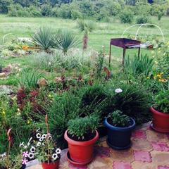 Гостевой дом Эллина, Вардане, Краснодарский край