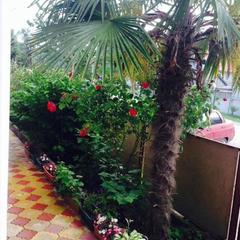 Гостевой дом Эллина, Вардане, Краснодарский край