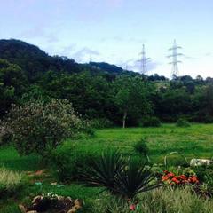 Гостевой дом Эллина, Вардане, Краснодарский край