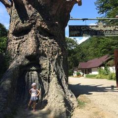 Отель Планета, Вардане, Краснодарский край