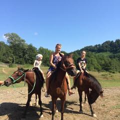 Отель Планета, Вардане, Краснодарский край