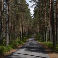 База отдыха Динамо, Васкелово, Ленинградская область