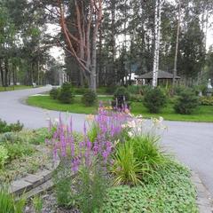 База отдыха Онега, Васкелово, Ленинградская область