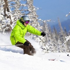 База отдыха Динамо, Васкелово, Ленинградская область