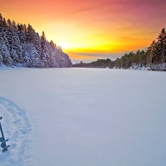 База отдыха Динамо, Васкелово, Ленинградская область