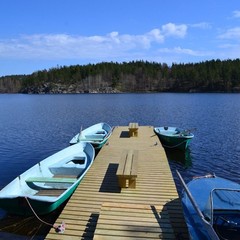 База отдыха Динамо, Васкелово, Ленинградская область