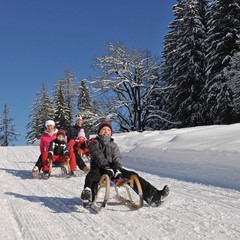 База отдыха Динамо, Васкелово, Ленинградская область