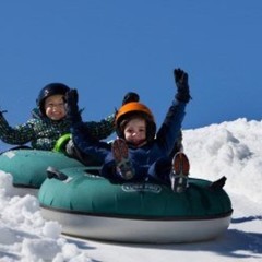 База отдыха Динамо, Васкелово, Ленинградская область