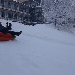 База отдыха Динамо, Васкелово, Ленинградская область